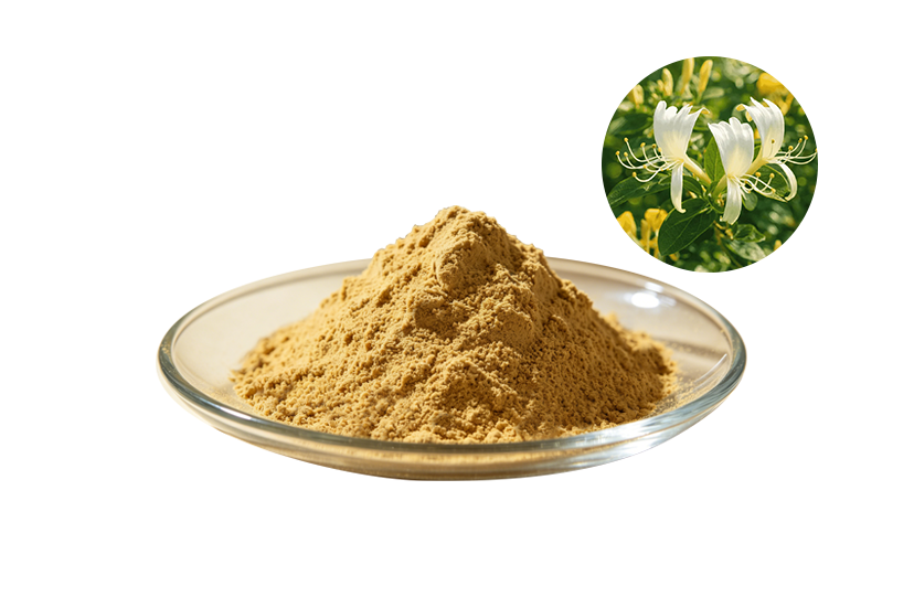 Honeysuckle Flower Extract
